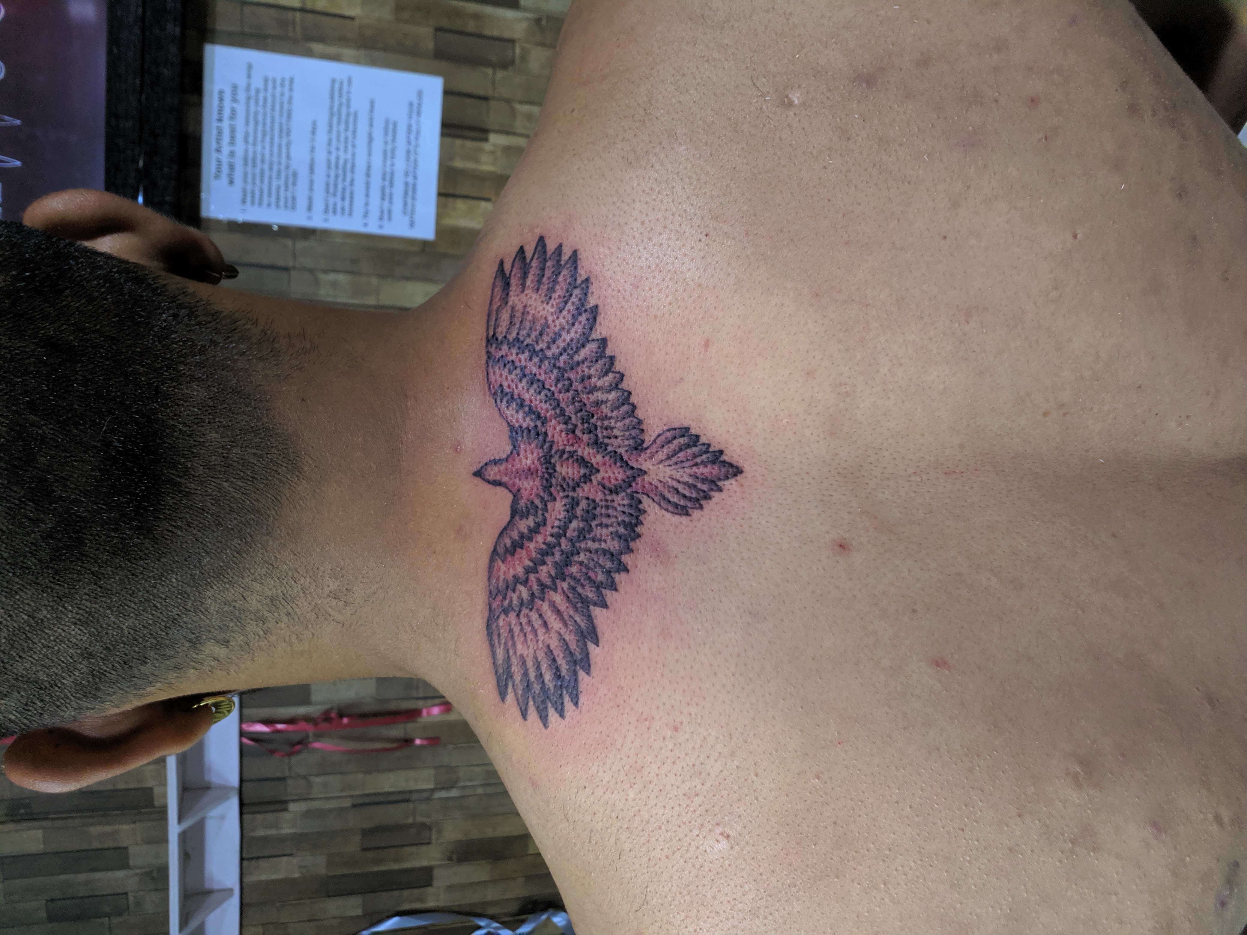 Tribal